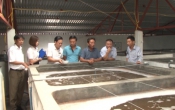 PS  Quỹ tín dụng nhân dân - Đồng hành cùng địa phương xây dựng NTM