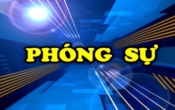 PS  Tỷ phú Ngao