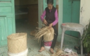 PS  Xuân về với làng nghề đan cói