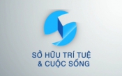 Sở hữu trí tuệ & Cuộc sống  11/11/2022