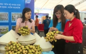 Sở hữu trí tuệ & Cuộc sống  12/5/2023