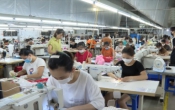 Sở hữu trí tuệ & Cuộc sống  12/8/2022