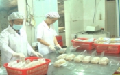 Sở hữu trí tuệ & Cuộc sống  (30/07/2020)
