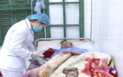 Sức khỏe & Cuộc sống  12/12/2022