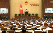 Thời sự truyền hình tối ngày  22/10/2024