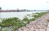Thời sự truyền hình tối ngày  26/5/2024
