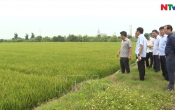 Thời sự truyền hình tối ngày  26/5/2025