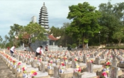 Thời sự truyền hình tối ngày   8/7/2022