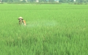 Thời tiết nông vụ  03/5/2022