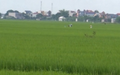 Thời tiết nông vụ  05/9/2022