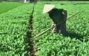 Thời tiết nông vụ  07/11/2022