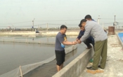 Thời tiết nông vụ  15/7/2024