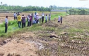 Thời tiết nông vụ 16/6/2025
