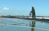 Thời tiết nông vụ  18/4/2022