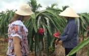 Thời tiết nông vụ   18/7/2022
