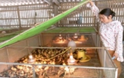 Thời tiết nông vụ  19/5/2025