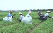 Thời tiết nông vụ  24/4/2023