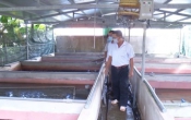 Thời tiết nông vụ  26/5/2025