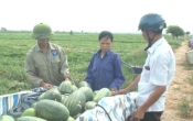 Thông tin thị trường ( 04/07/2019 )