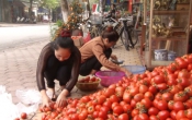 Thông tin thị trường ( 11/3/2021 )