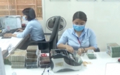 Thông tin thị trường ( 15/10/2020 )