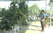 Thông tin thị trường ( 17/12/2020 )