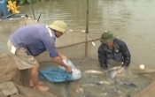 Thông tin thị trường  18/5/2023