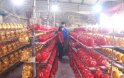 Thông tin thị trường  25/01/2024