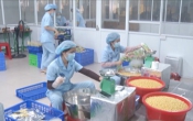 Thông tin thị trường ( 25/11/2021 )
