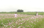 Thông tin thị trường   26/5/2022