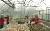 Thông tin thị trường  29/9/2022