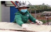Thông tin thị trường ( 30/9/2021 )
