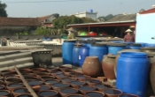 Tinh hoa làng nghề ( 11/01/2022 )