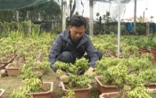 Tinh hoa làng nghề ( 13/4/2021 )