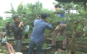 Tinh hoa làng nghề  14/3/2023