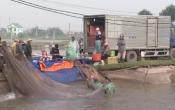 Vàng trong đất  09/8/2024